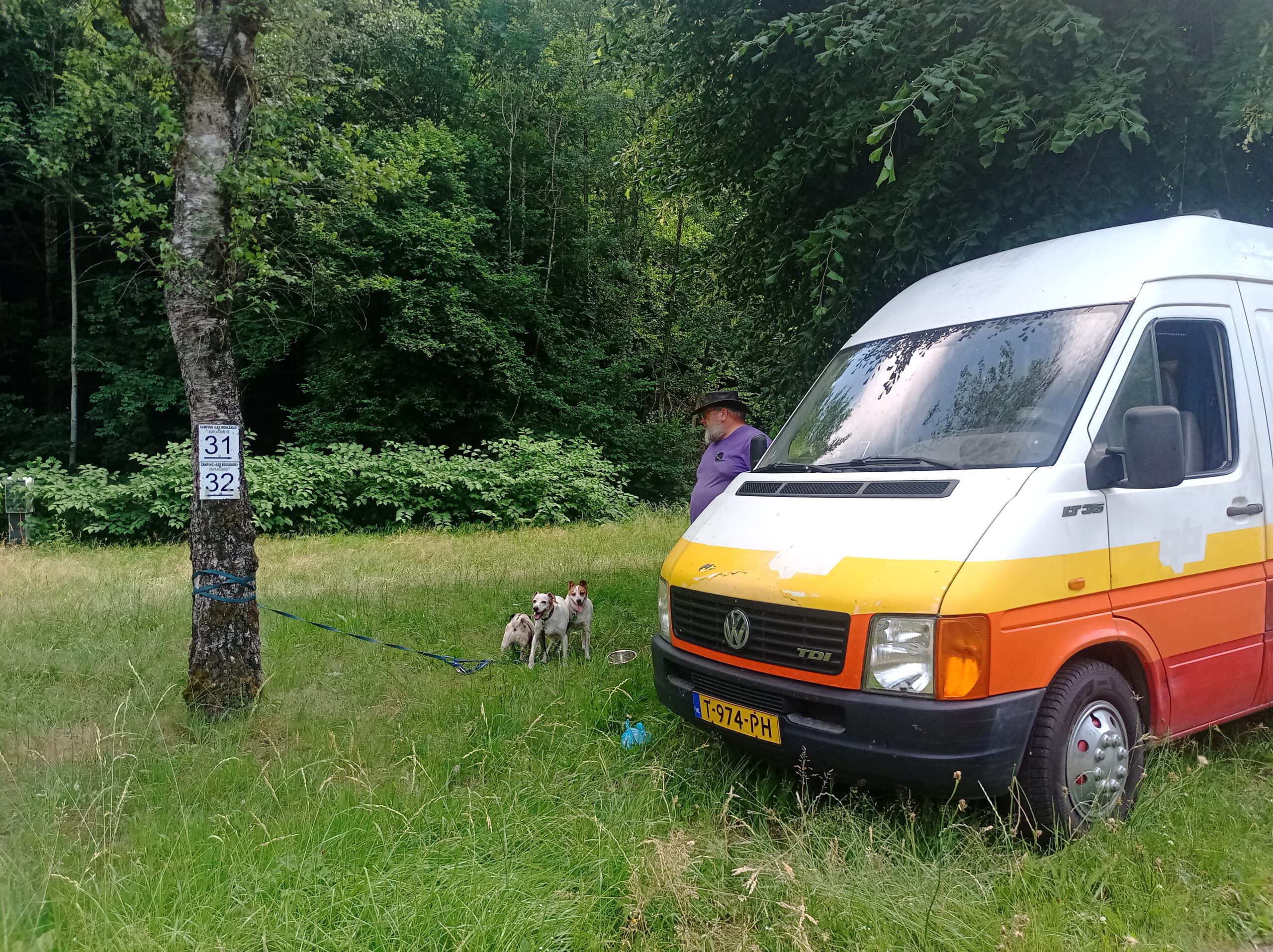 Noordwaarts vanwege de hitte
